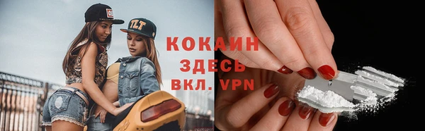 дживик Аркадак