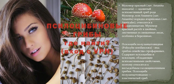 дживик Аркадак