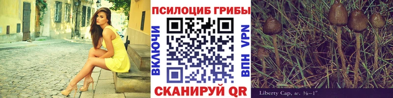 kraken tor  Серов  Псилоцибиновые грибы Cubensis 